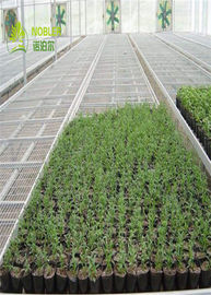 A estufa hidropônica da plântula das bandejas cresce camas para a sementeira/vegetal das plantas