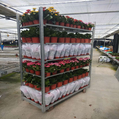 Do trole material da flor da madeira compensada do mergulho quente roda pesada galvanizada fácil instalar