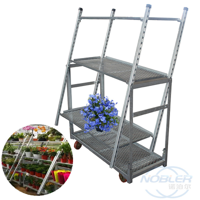 Container dinamarquês 1350mm Standard Flower Trolley dobrado e instalado para rápida rotatividade