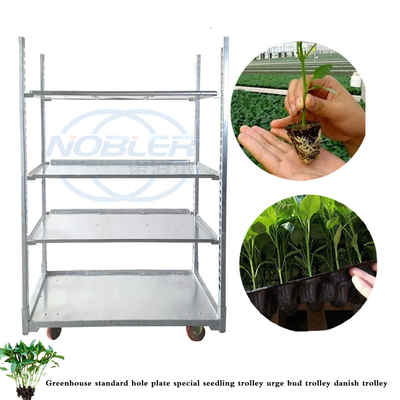 Conveniente montagem Trolley de plantas dinamarquesas para manuseio suave de flores