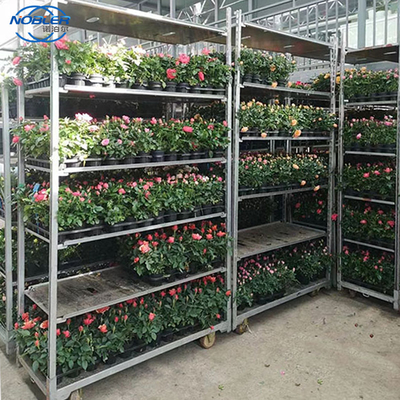 Container padrão 1350 * 565 * 1900mm Carrinho de flores de madeira compensada Armazenamento conveniente