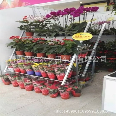 Display Tipo de contraplacado Trolley de flores dinamarquesas Prevenção de ferrugem montagem conveniente