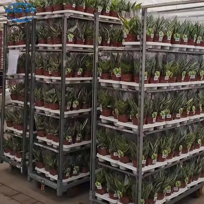 Frigorífico de alta carga com revestimento em pó de carro de flores dinamarquesas