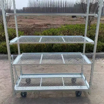 Carrinho Dinamarquês para Plantio Agrícola com Rodízios PP Galvanizados a Quente 1350*565mm, Carrinhos Dinamarqueses para Estufa, Carrinho de Colheita