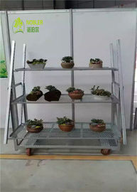 Display Tipo de contraplacado Trolley de flores dinamarquesas Prevenção de ferrugem montagem conveniente