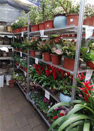 3 Nível Estante de supermercado dinamarquês Com 1.8x1800mm Post e 4 rolos giratórios