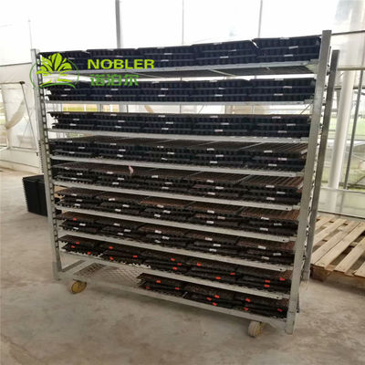 Do trole dinamarquês da planta do carro da plântula do quadro da flor galvanização quente
