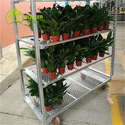 Do trole dinamarquês da planta do carro da plântula do quadro da flor galvanização quente