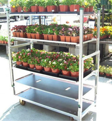 Do trole dinamarquês da planta do carro da plântula do quadro da flor galvanização quente