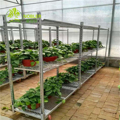Hot Galvanized Plywood Greenhouse Flower Carts Customized Trolley For Transport